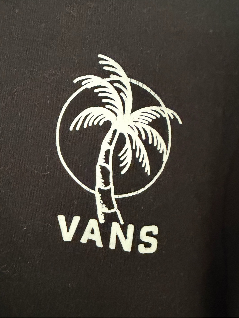 Vans Off The Wall Skull Palm Tree Graphic T-Shirt Men’s Medium Black - Picture 2 of 5